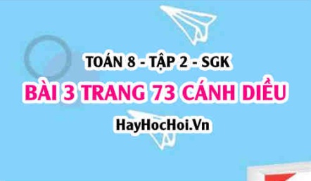 Bài 3 trang 73 Toán 8 Tập 2 Cánh Diều